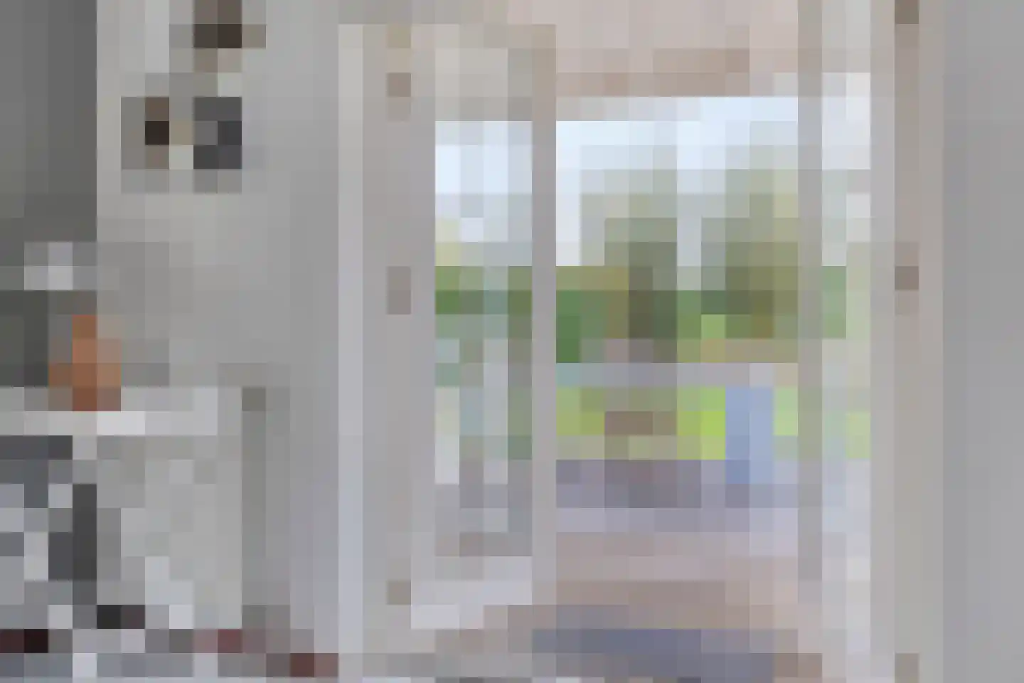 Binnendijk 2 142 Wemeldinge thumbnail 11