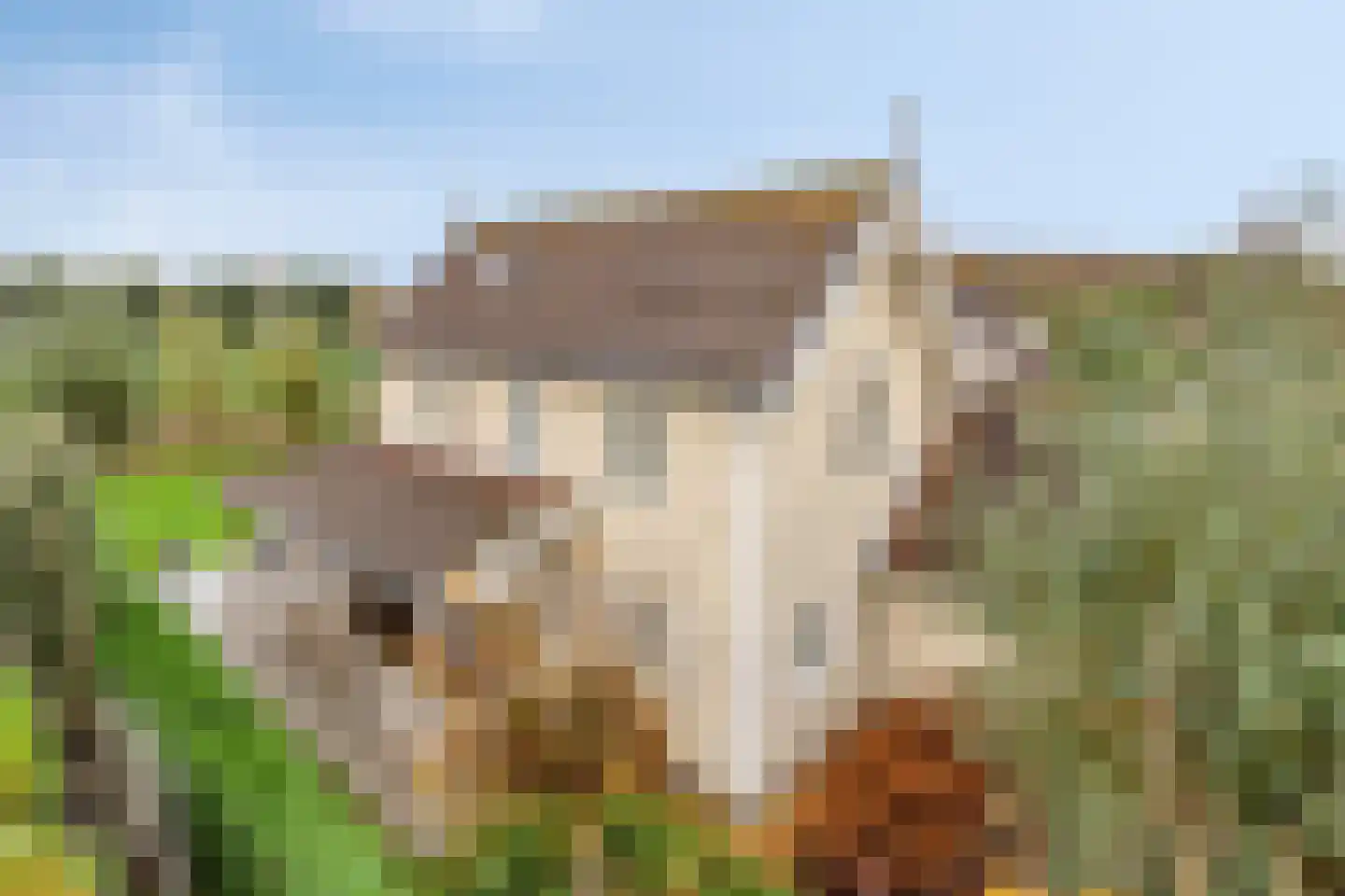 Binnendijk 2 142 Wemeldinge thumbnail 39
