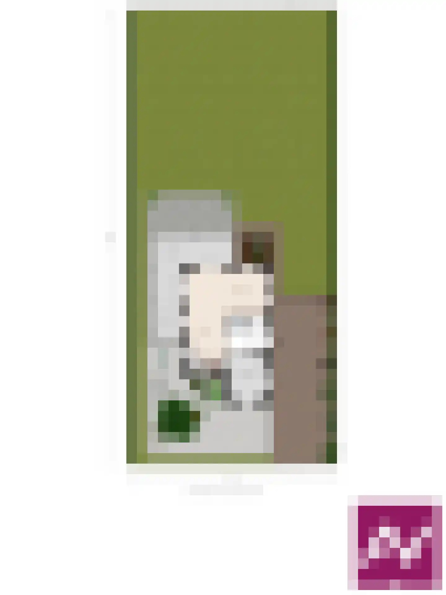 Binnendijk 2 142 Wemeldinge thumbnail 47
