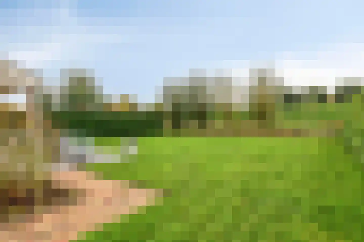 Binnendijk 2 142 Wemeldinge thumbnail 5
