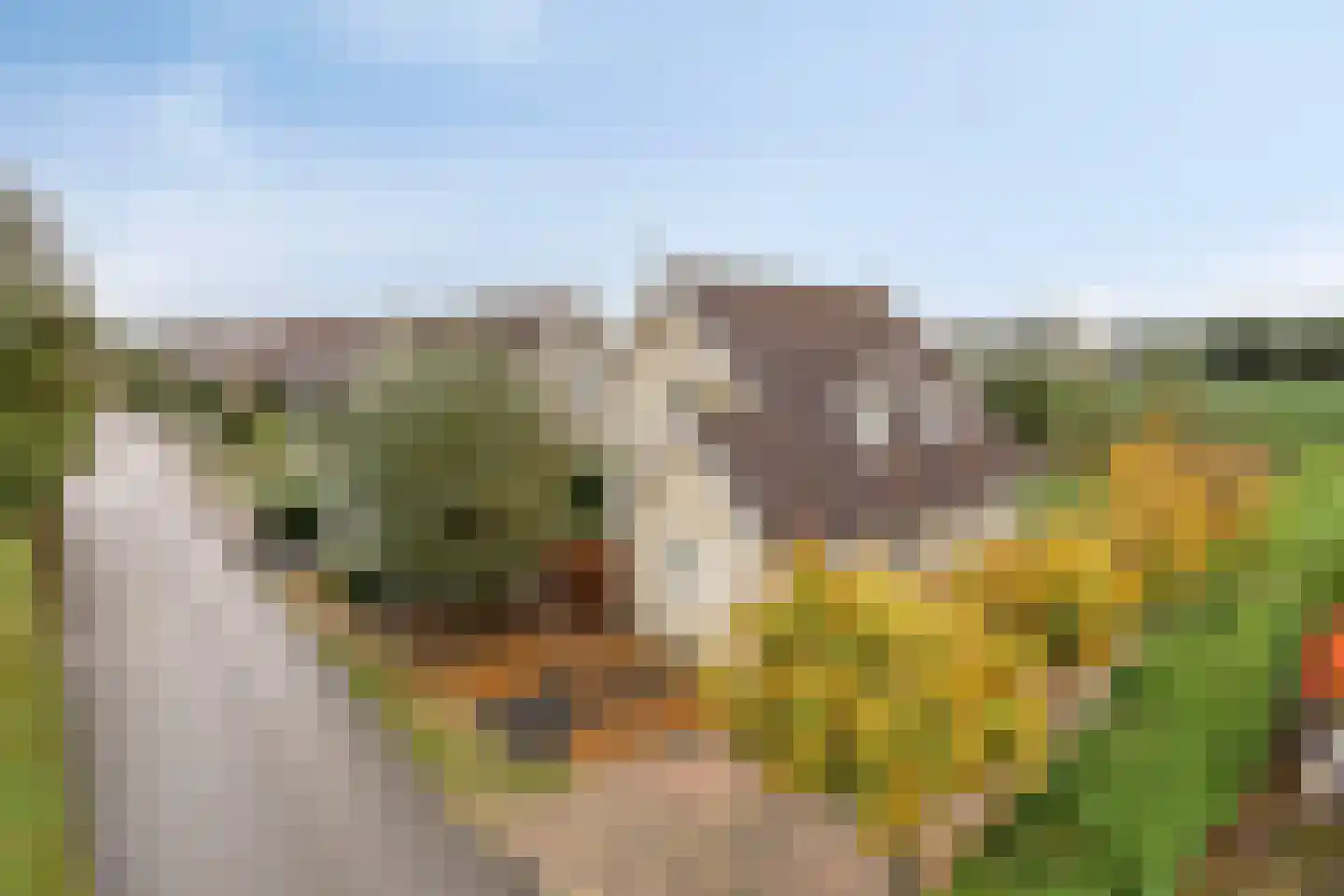 Binnendijk 2 142 Wemeldinge thumbnail 7