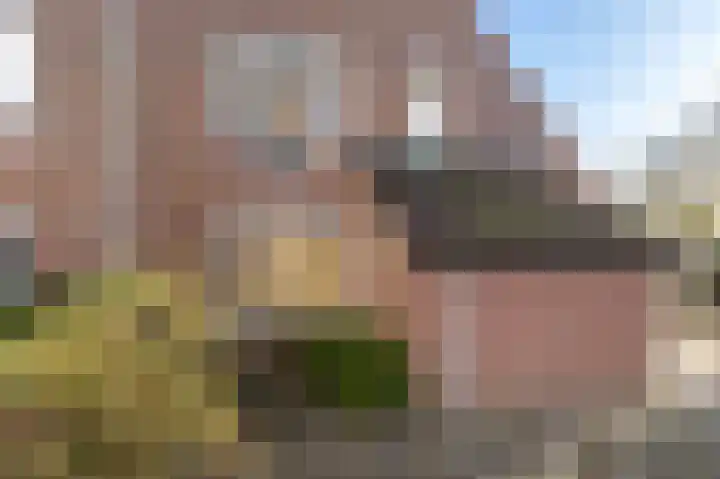 Binnendijk 237 Lelystad thumbnail 10