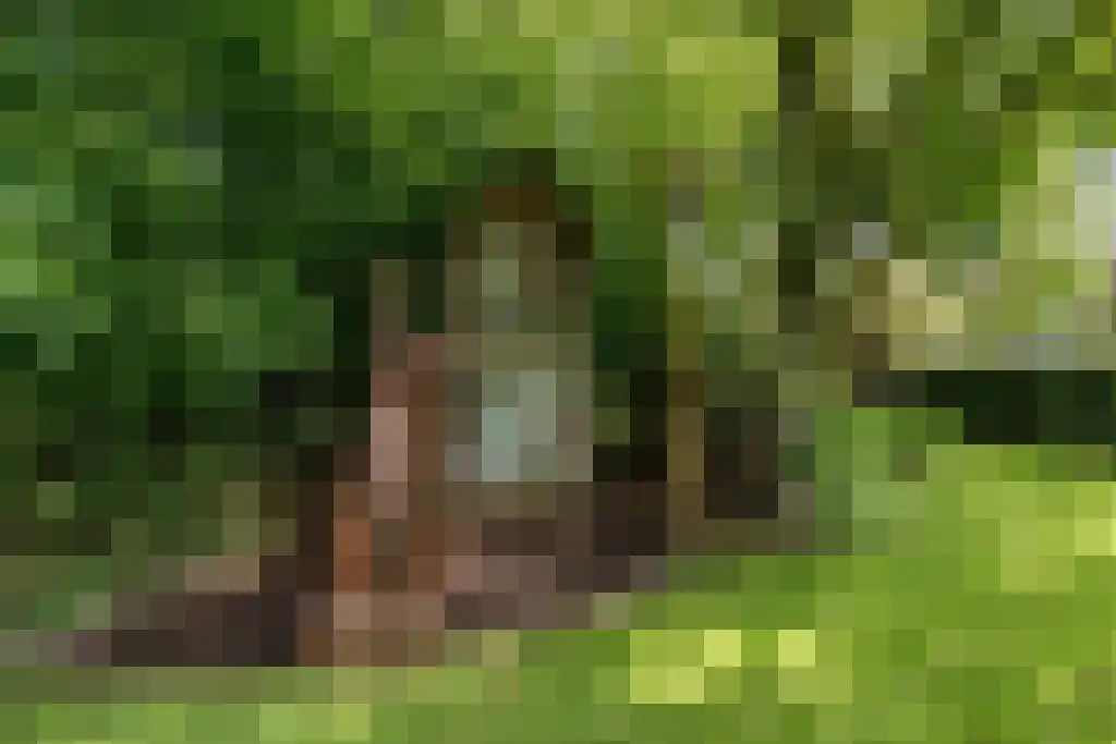Binnenduin 13 Burgh-Haamstede thumbnail 11