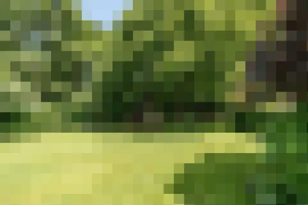 Binnenduin 13 Burgh-Haamstede thumbnail 12