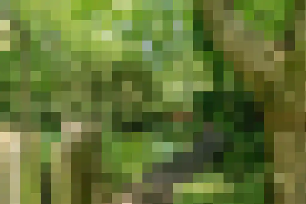 Binnenduin 13 Burgh-Haamstede thumbnail 13
