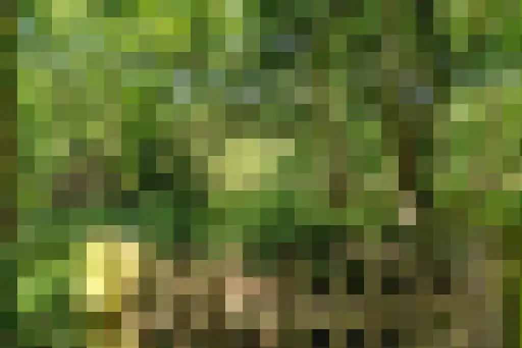 Binnenduin 13 Burgh-Haamstede thumbnail 14