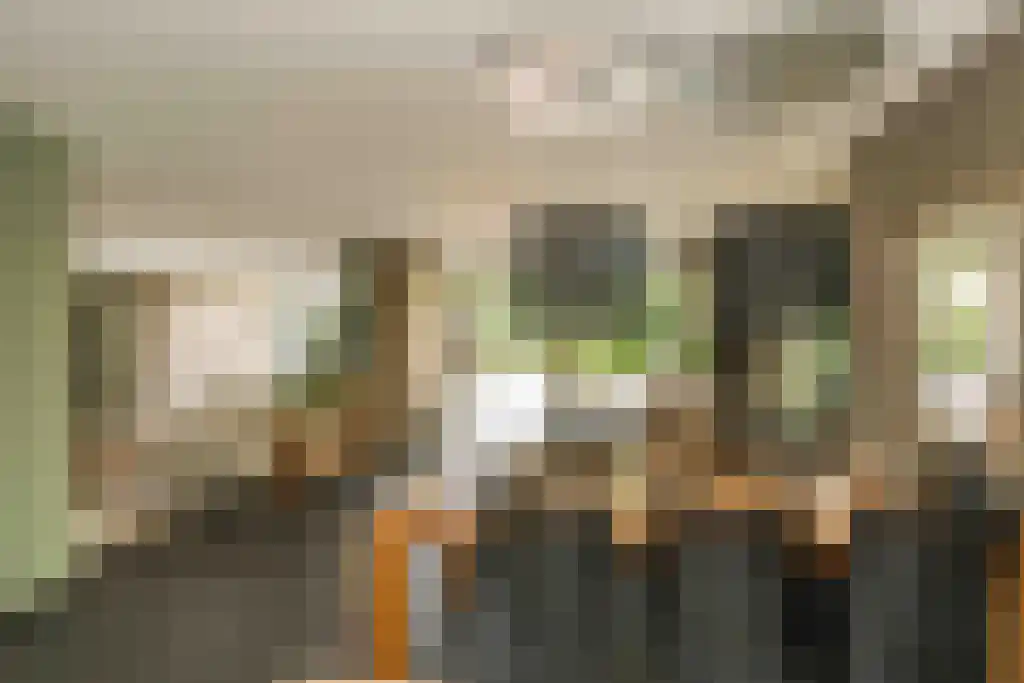 Binnenduin 13 Burgh-Haamstede thumbnail 20