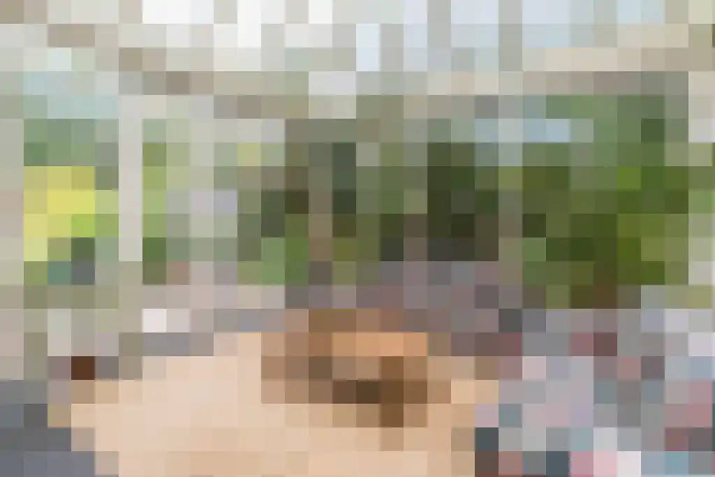 Binnenduin 13 Burgh-Haamstede thumbnail 28