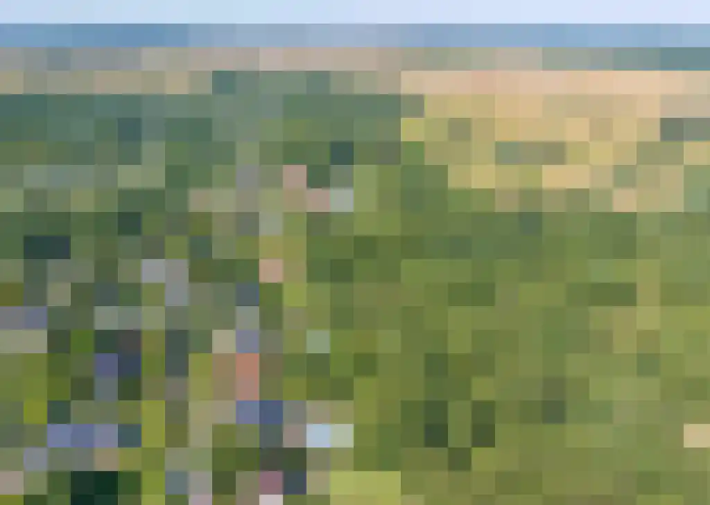 Binnenduin 13 Burgh-Haamstede thumbnail 51