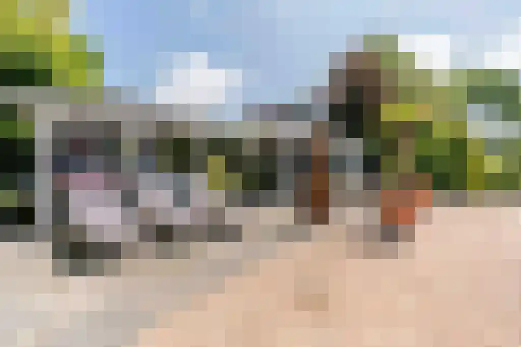 Binnenduin 13 Burgh-Haamstede thumbnail 7