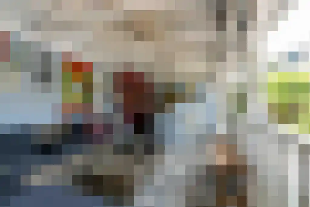 Binnenduin 13 Burgh-Haamstede thumbnail 8