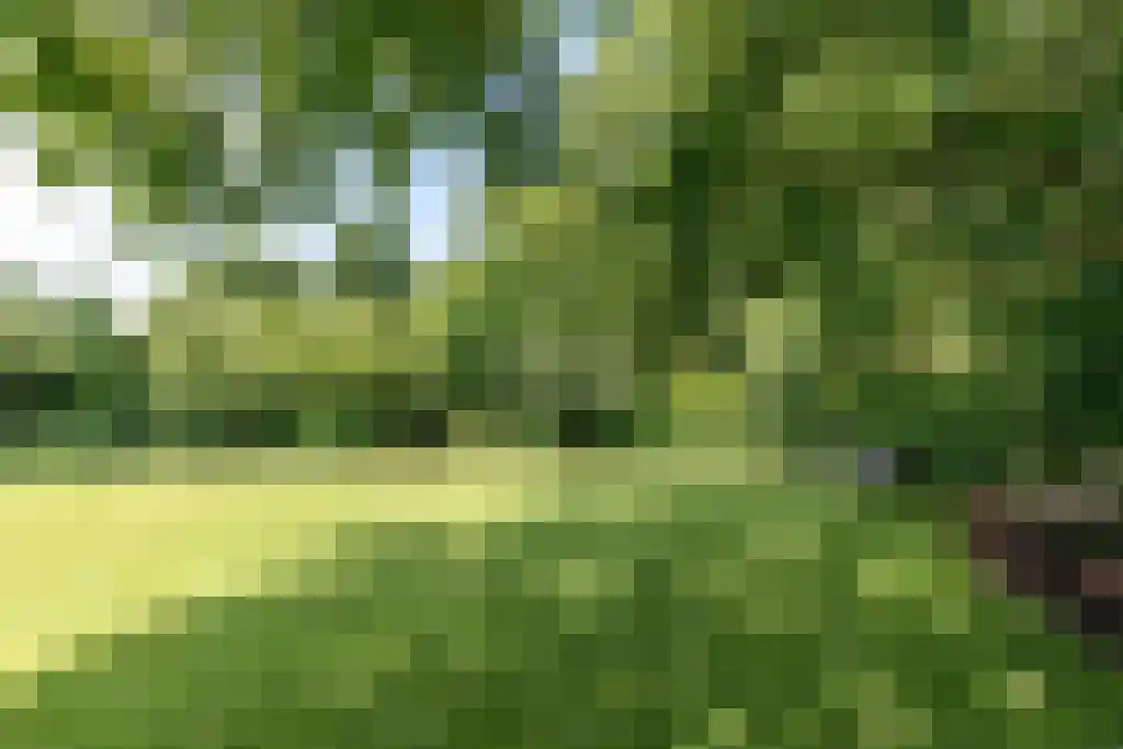 Binnenduin 13 Burgh-Haamstede thumbnail 9