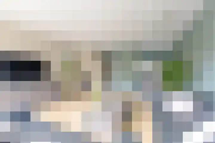 Binnenduin 14 Monster thumbnail 11