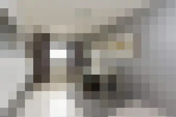 Binnenduin 14 Monster thumbnail 15