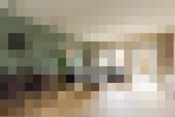 Binnenduin 14 Monster foto 2