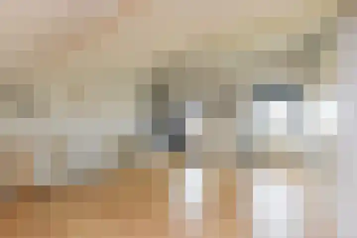 Binnenduin 14 Monster thumbnail 22
