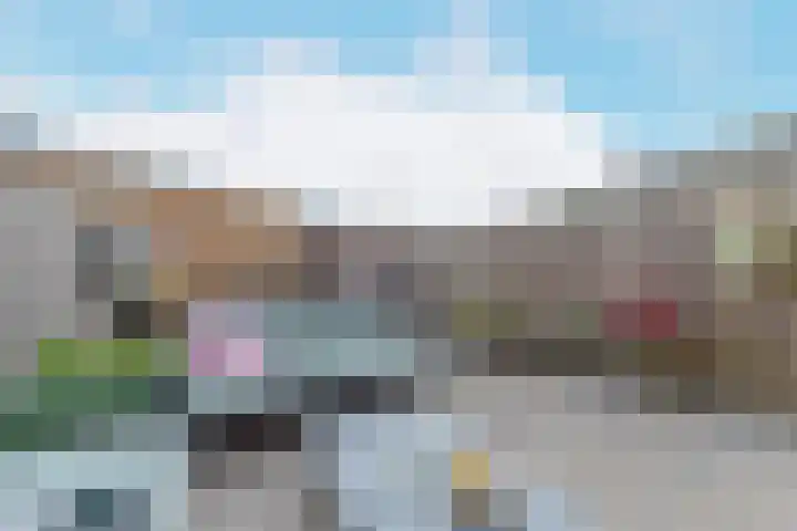 Binnenduin 14 Monster thumbnail 25