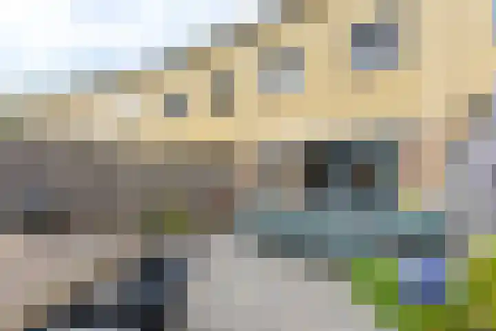 Binnenduin 14 Monster thumbnail 28