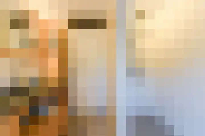 Binnenduin 14 Monster thumbnail 5