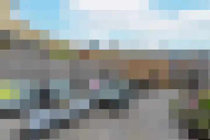 Binnenduin 14 Monster thumbnail 6