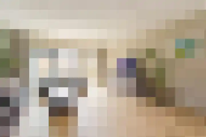 Binnenduin 14 Monster thumbnail 9