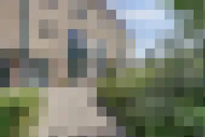 Binnenduin 7 Monster