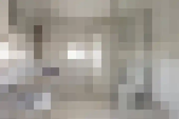 Binnenduin 7 Monster thumbnail 14