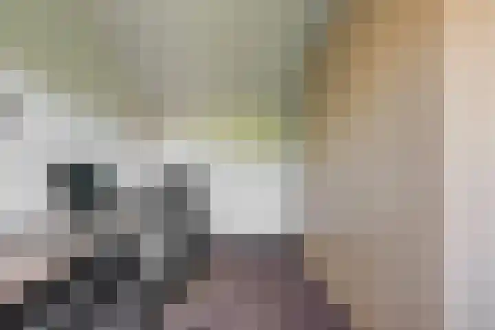 Binnenduin 7 Monster thumbnail 18