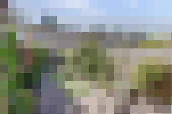 Binnenduin 7 Monster thumbnail 19