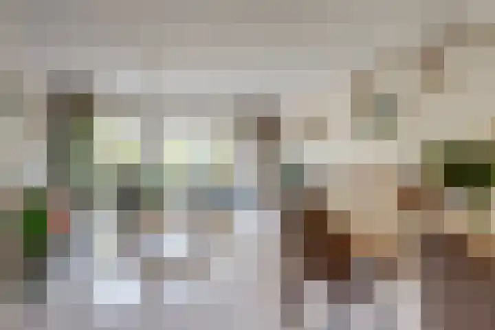 Binnenduin 7 Monster foto 2