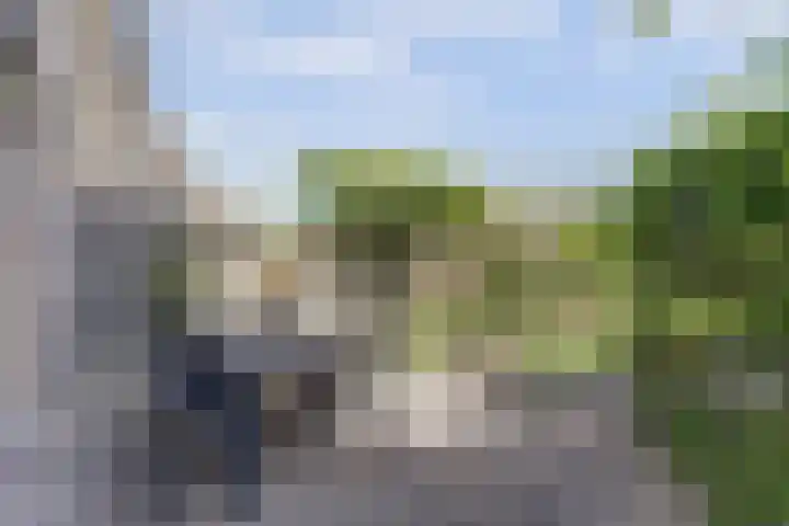 Binnenduin 7 Monster thumbnail 20