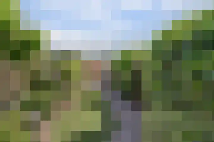 Binnenduin 7 Monster thumbnail 21