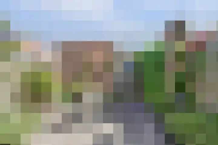 Binnenduin 7 Monster thumbnail 22