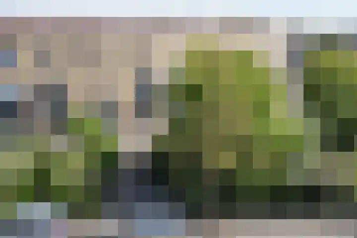 Binnenduin 7 Monster thumbnail 25