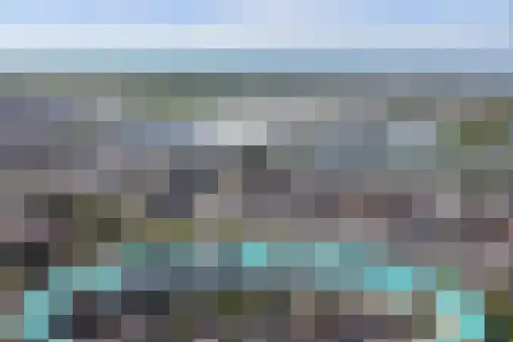 Binnenduin 7 Monster thumbnail 26