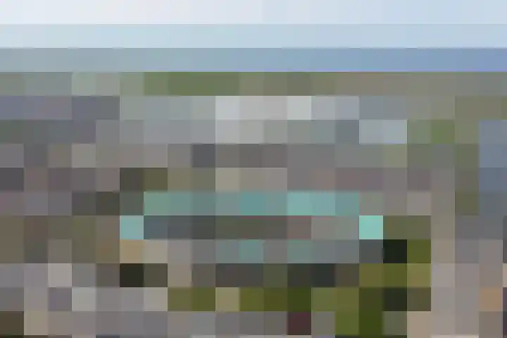 Binnenduin 7 Monster thumbnail 28