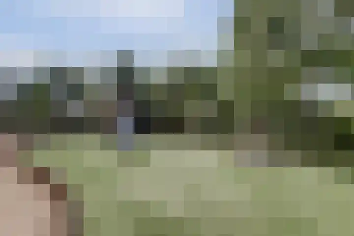 Binnenduin 7 Monster thumbnail 29