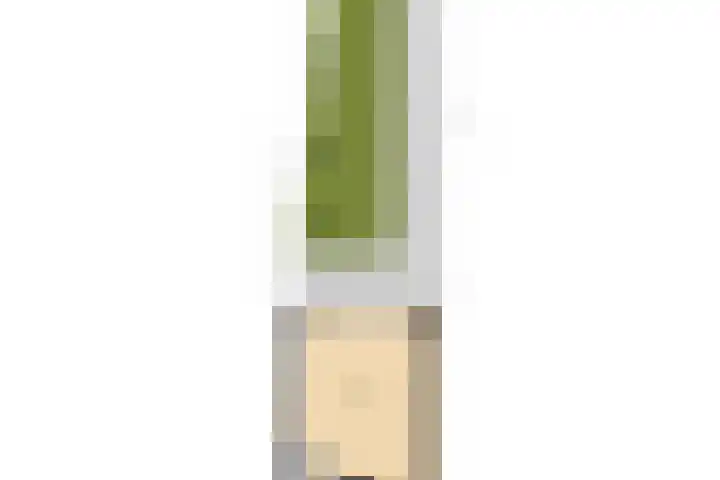 Binnenduin 7 Monster thumbnail 39