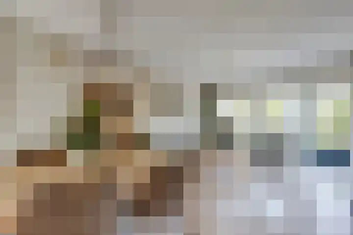 Binnenduin 7 Monster thumbnail 4