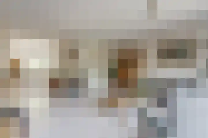 Binnenduin 7 Monster thumbnail 5