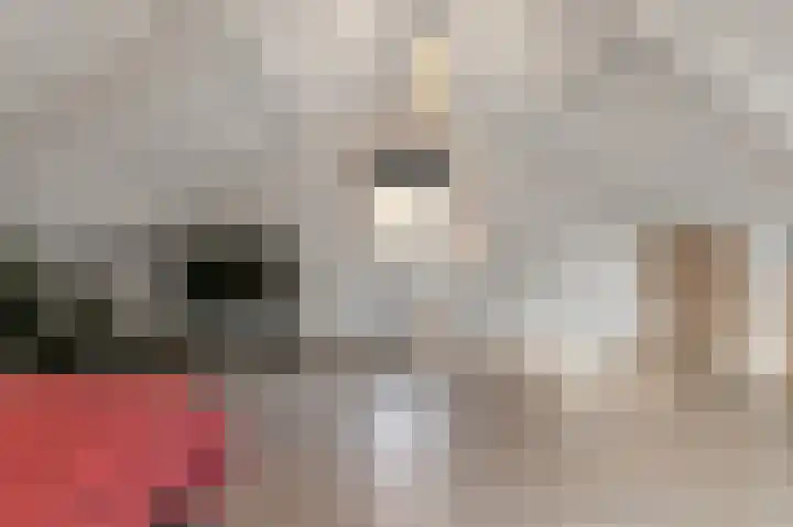 Binnendyk 16 Rottum thumbnail 26