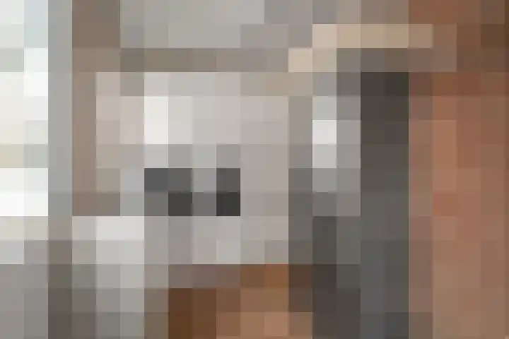 Binnenhaven 137 Den Helder thumbnail 10