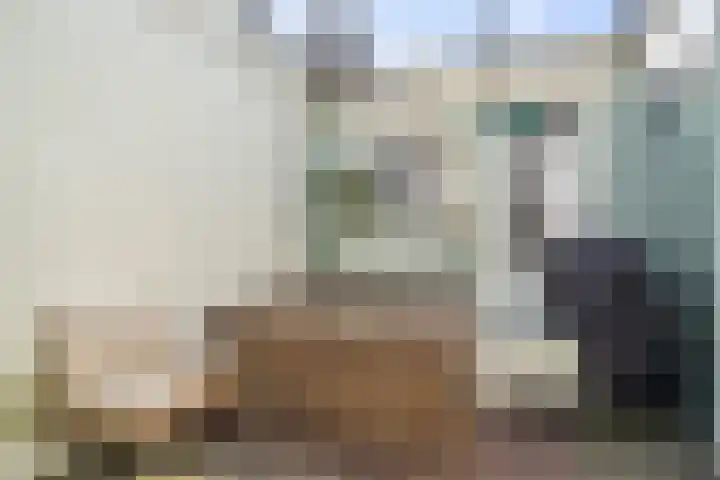 Binnenhaven 137 Den Helder thumbnail 11