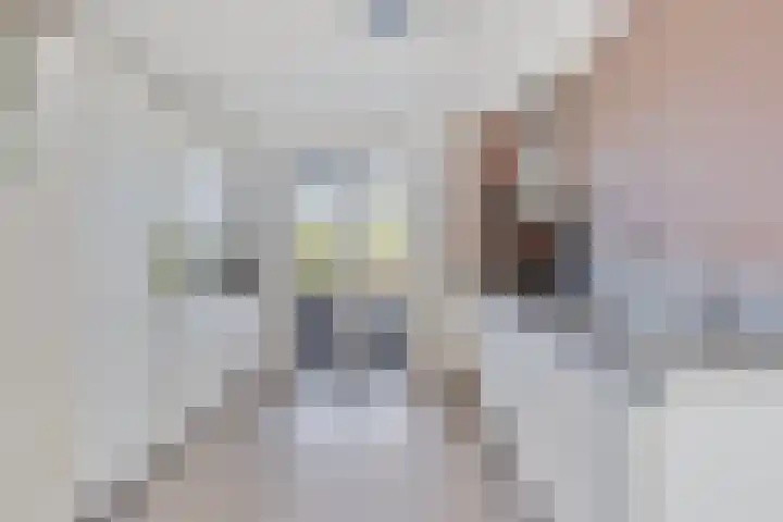 Binnenhoek 6 Kampen thumbnail 12