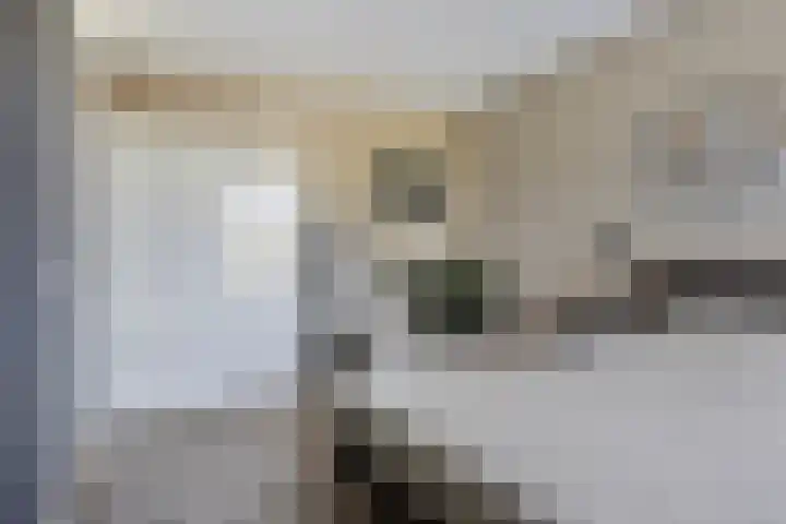 Binnenhoek 6 Kampen thumbnail 17