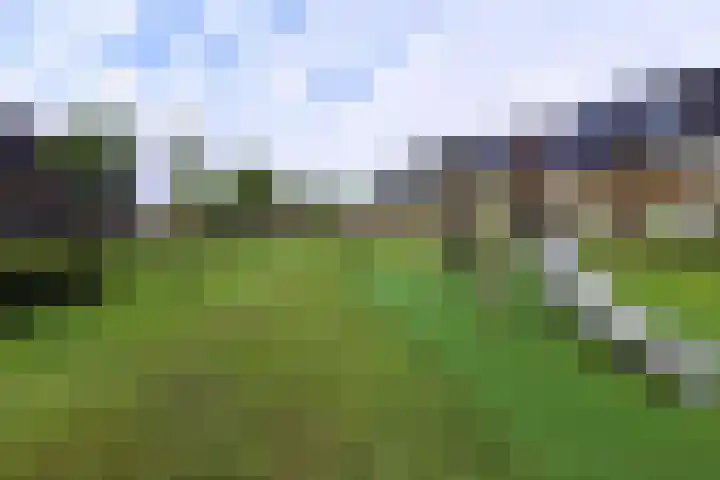 Binnenhoek 6 Kampen thumbnail 45