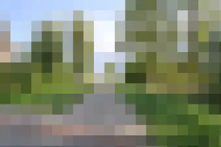 Binnenhoek 6 Kampen thumbnail 46