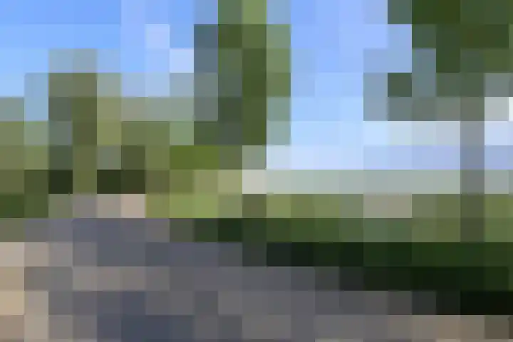 Binnenhoek 6 Kampen thumbnail 48