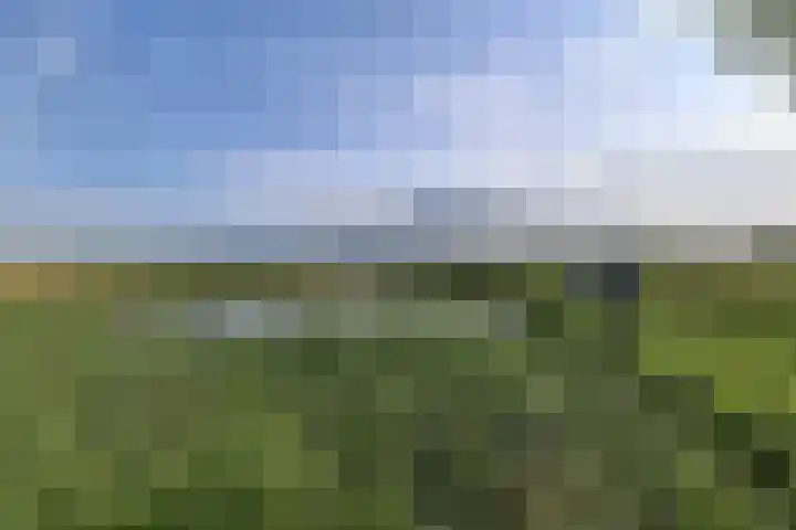 Binnenhoek 6 Kampen thumbnail 49