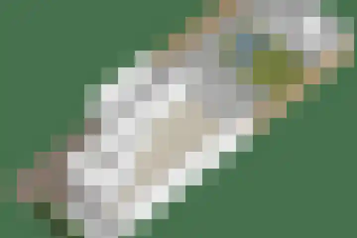 Binnenhoek 6 Kampen thumbnail 55